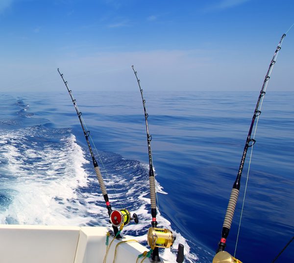 charters-600x536.jpg